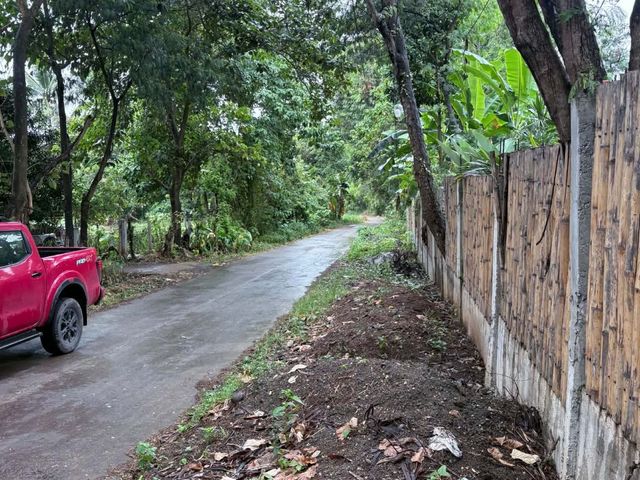 place photo 25