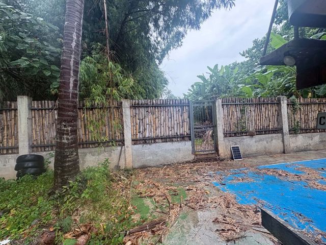 place photo 22