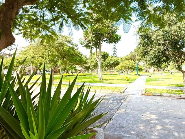 place photo 48