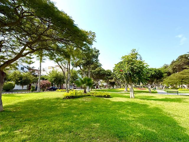 place photo 49