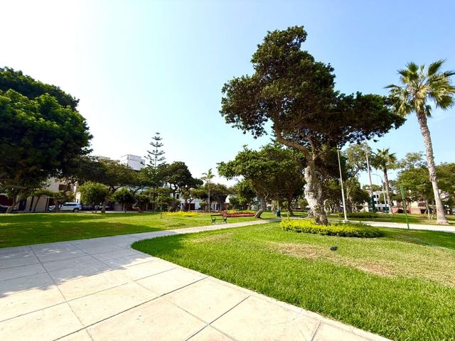 place photo 51