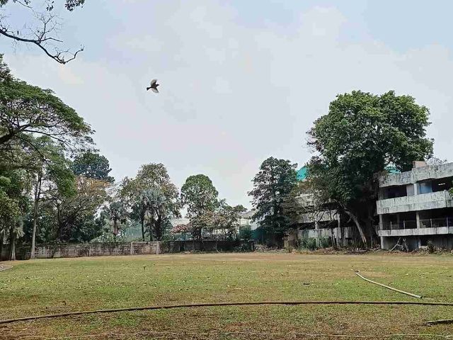 place photo 22