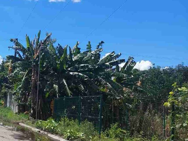 residential lot for sale