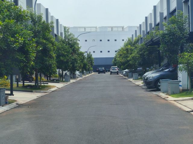 place photo 11