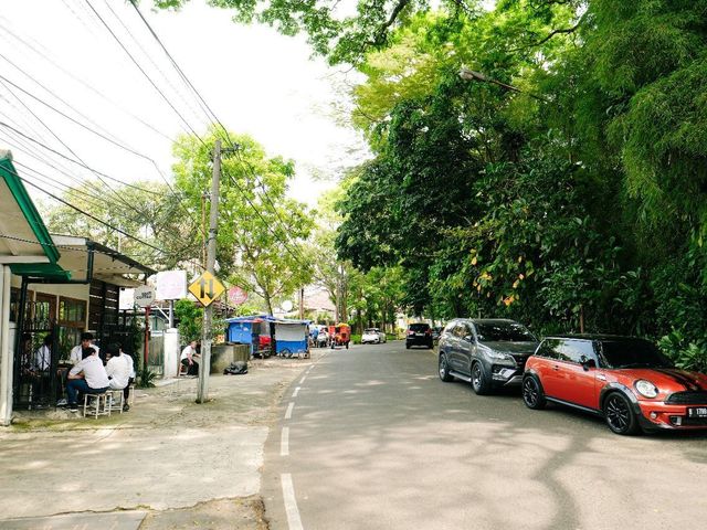 place photo 18