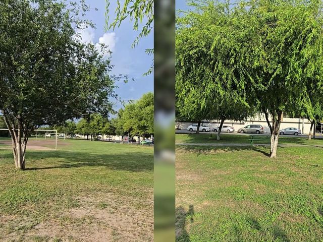 place photo 21