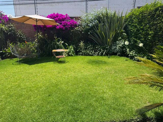 place photo 57