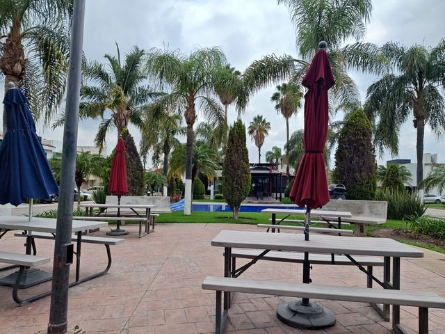 place photo 33