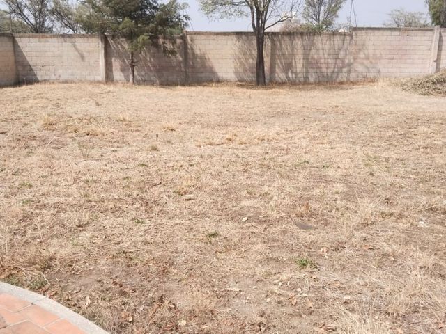 place photo 47