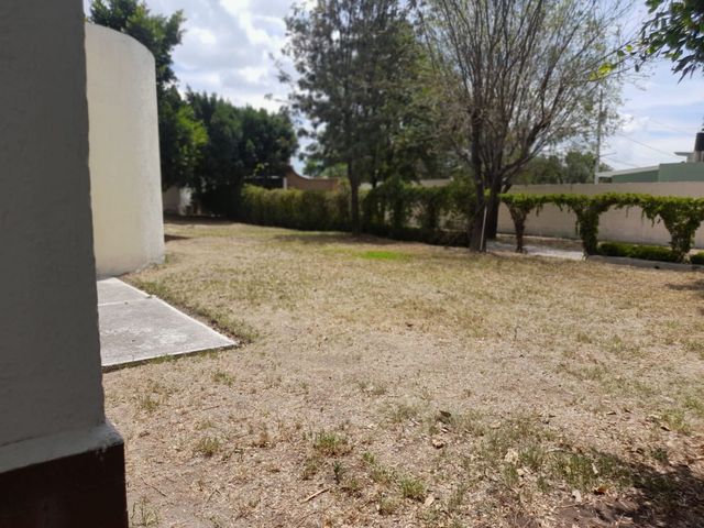place photo 52