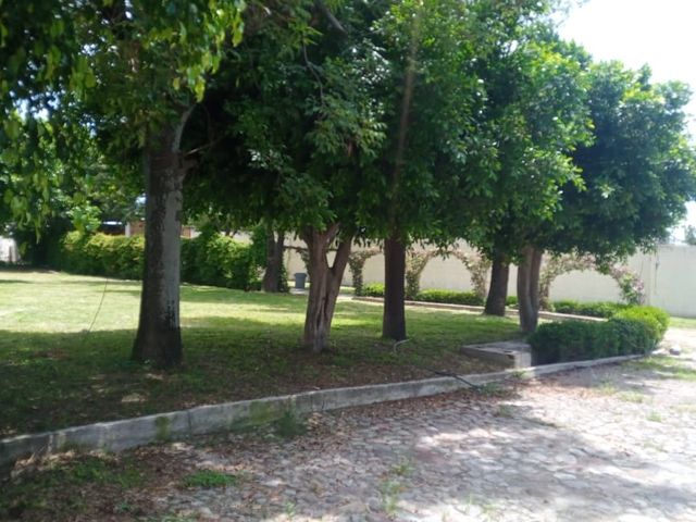 place photo 49