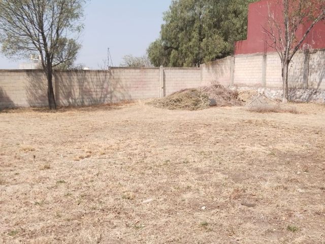 place photo 53