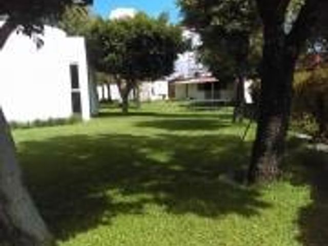 place photo 59