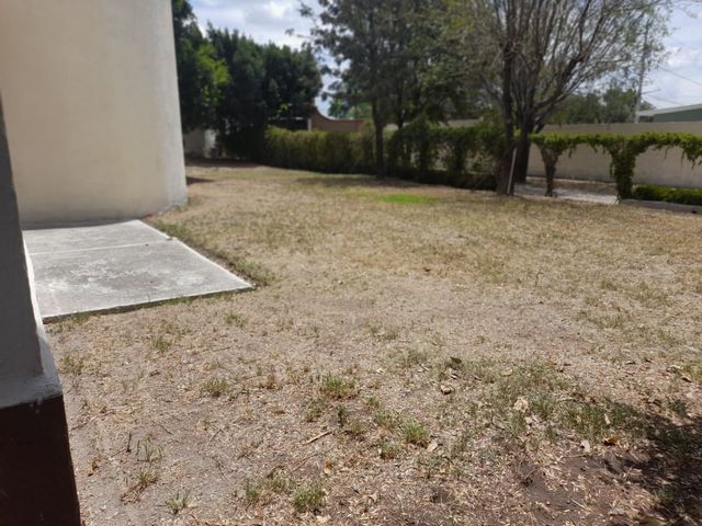 place photo 48