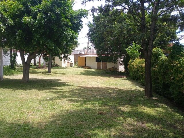 place photo 39