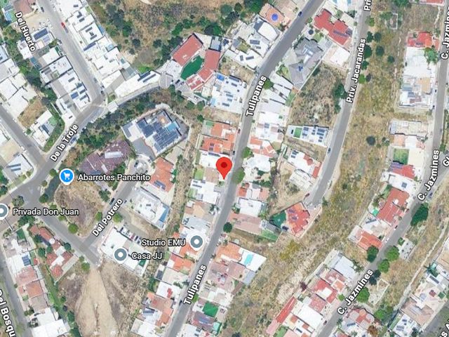 place photo 26
