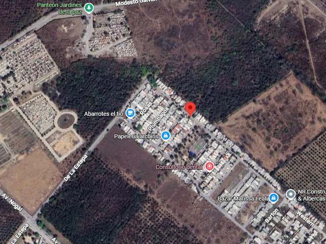 place photo 5