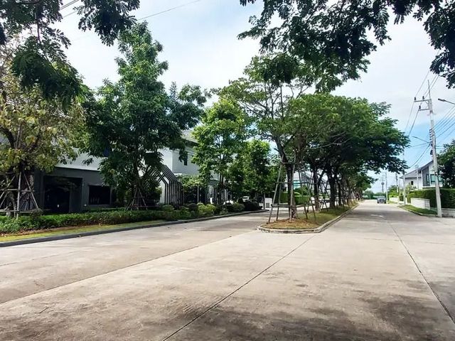 place photo 42