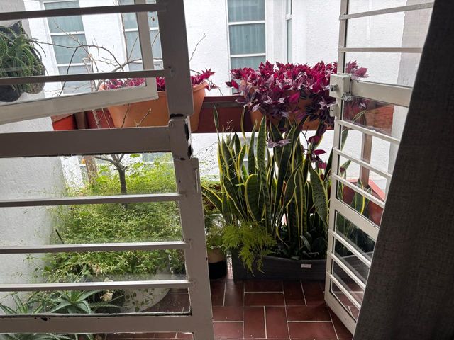 place photo 38