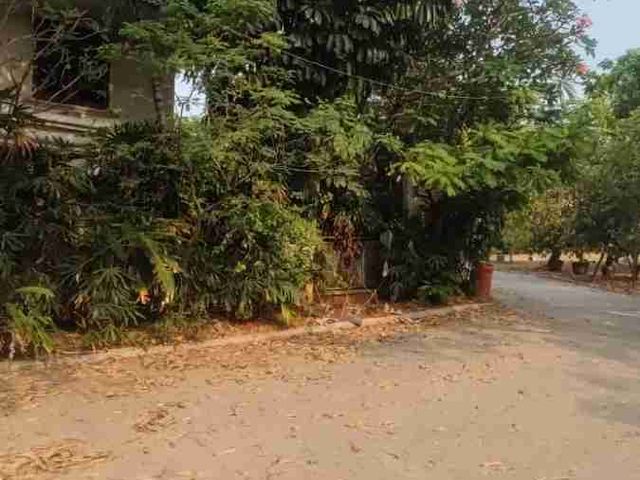 place photo 10