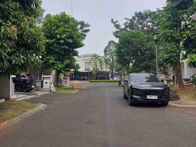 place photo 20