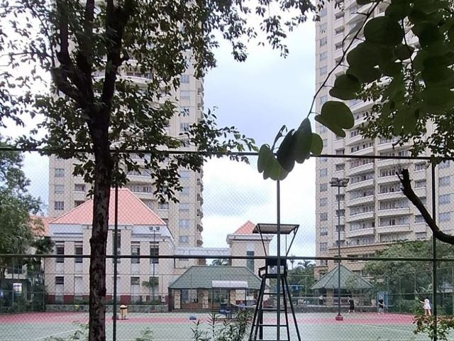 place photo 16