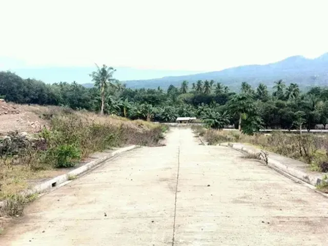 place photo 5