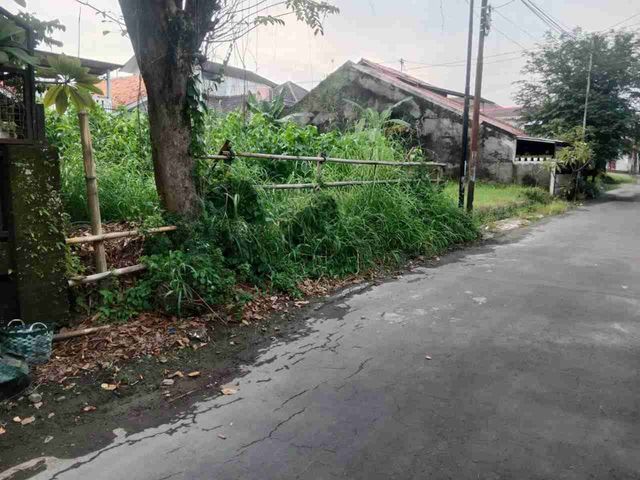 place photo 5