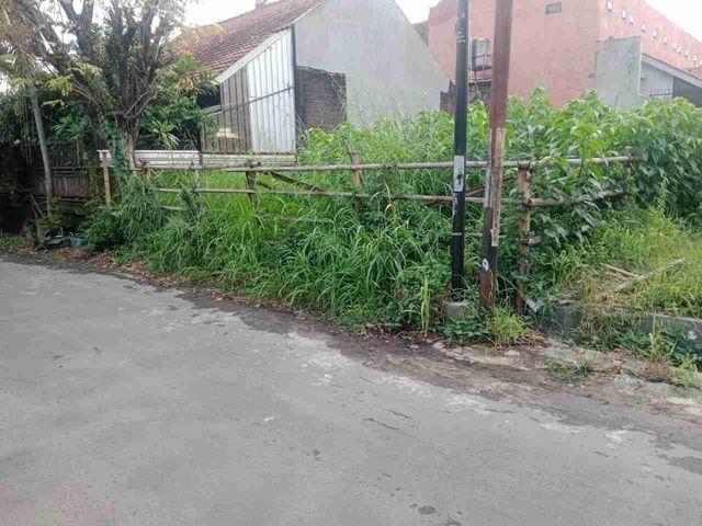 place photo 8