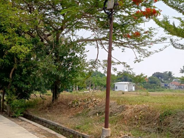 place photo 14