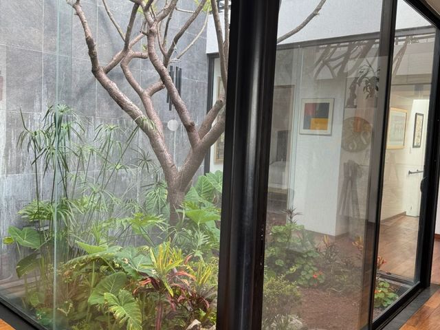 place photo 53