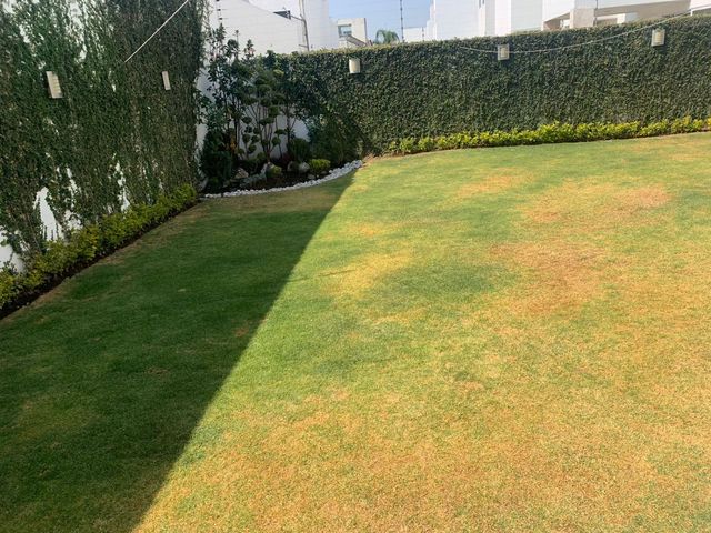 place photo 66
