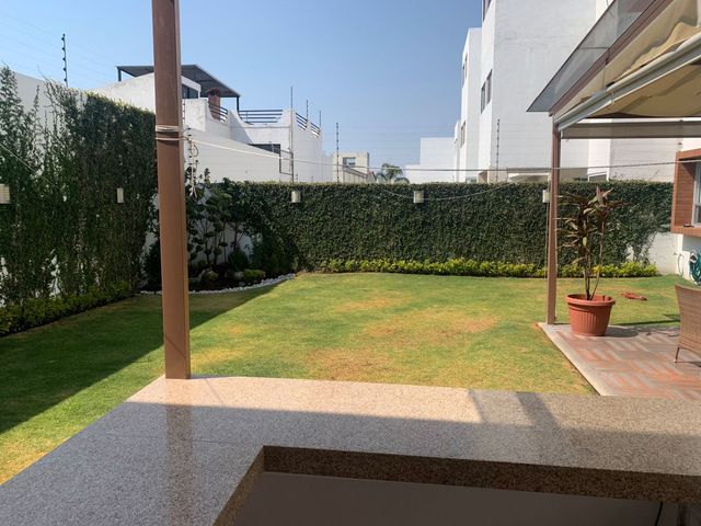 place photo 57