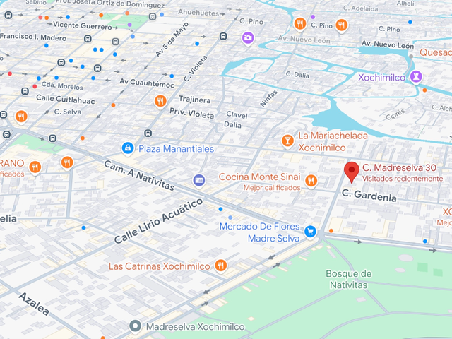 place photo 18