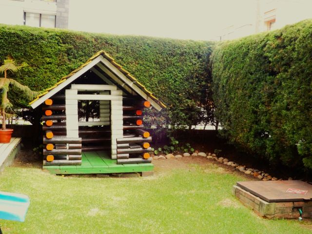 place photo 33
