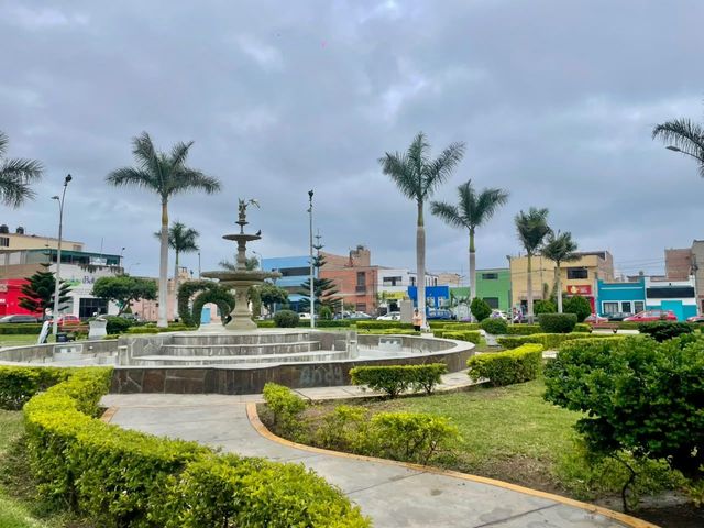 place photo 19