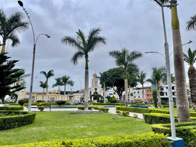 place photo 18