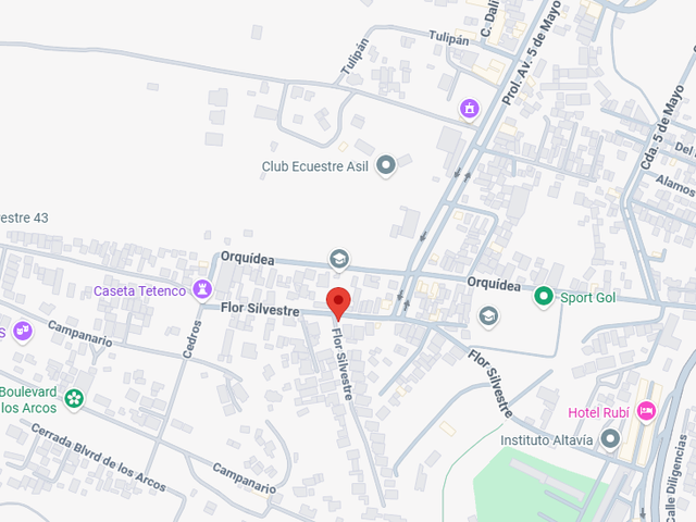 place photo 8