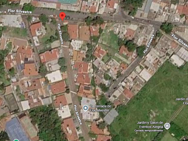 place photo 9