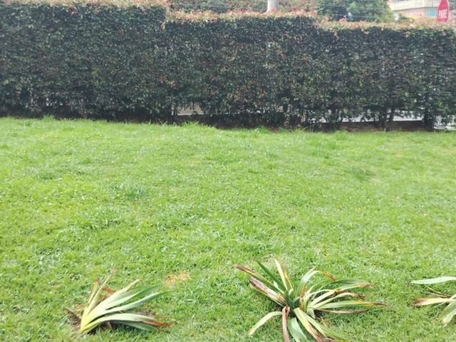 place photo 20