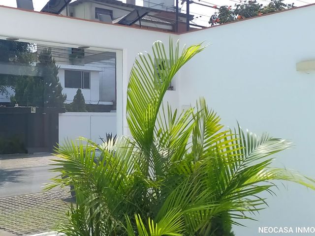 place photo 43