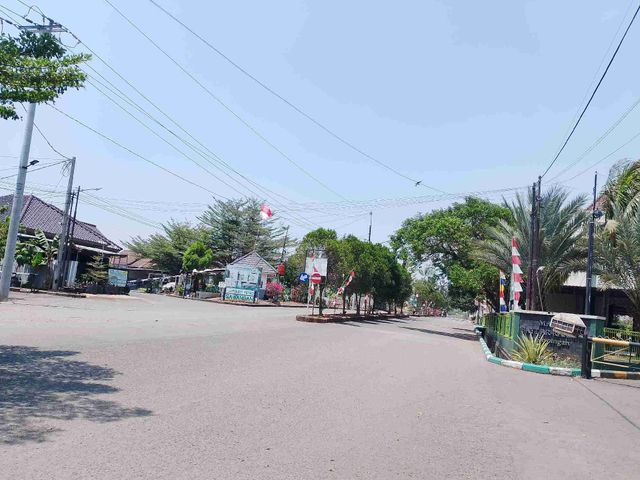 place photo 19