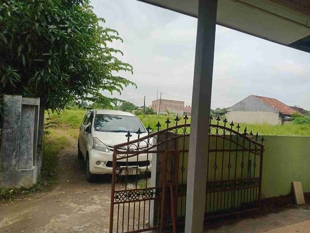 place photo 12