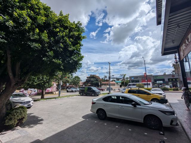 place photo 18