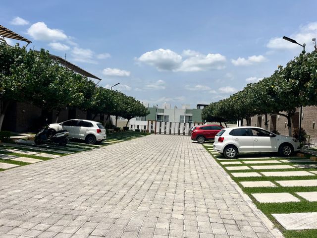 place photo 24