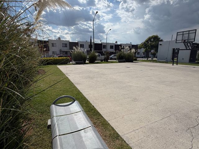 place photo 26