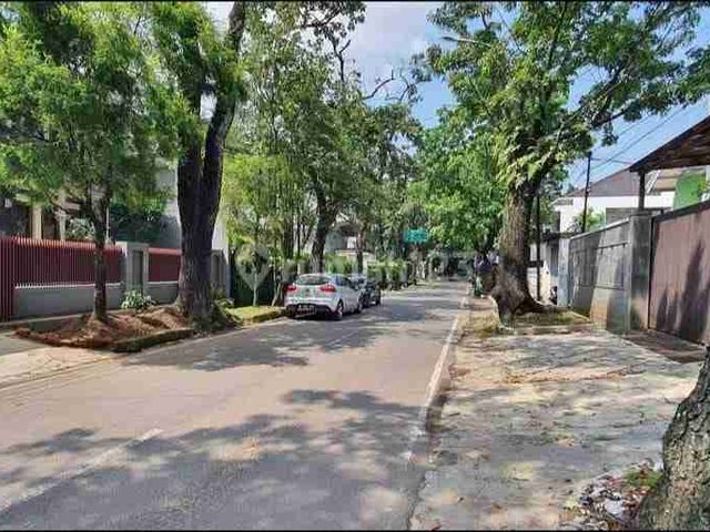 place photo 17