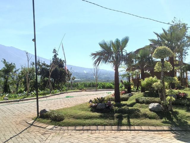 place photo 5