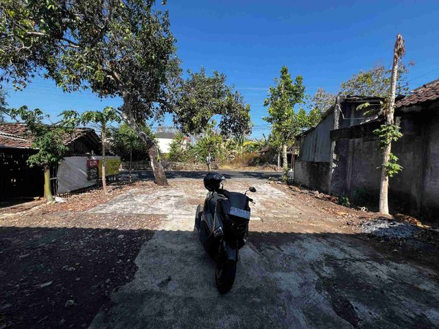 place photo 7