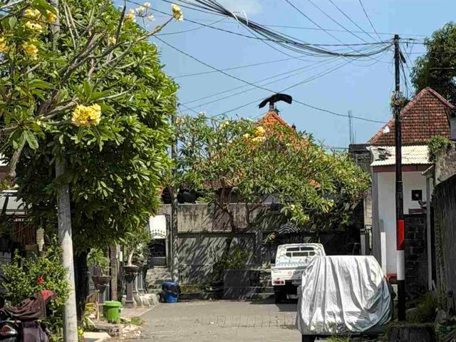 place photo 27